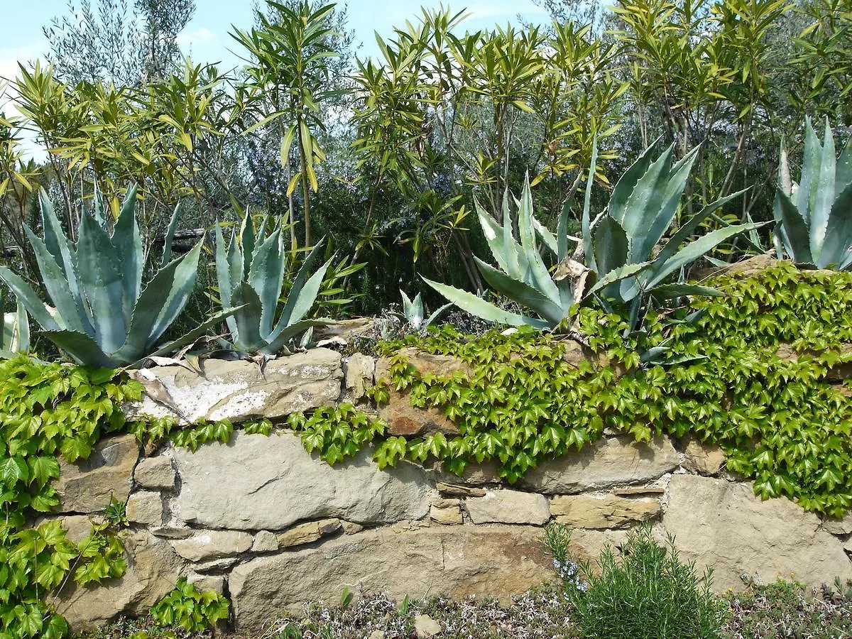Villa La Pergola Cortona